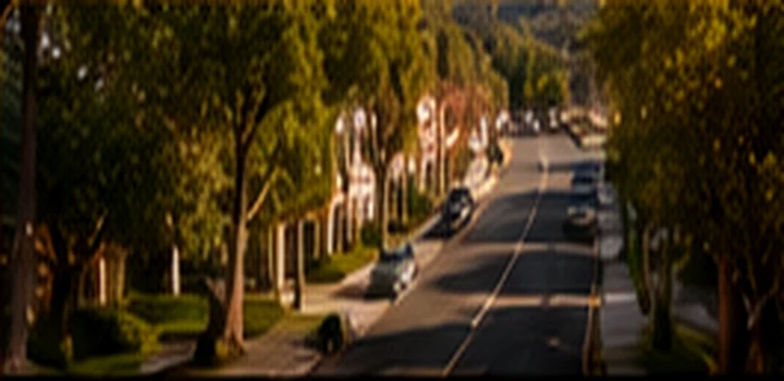 Beverly Hills 比佛利山庄